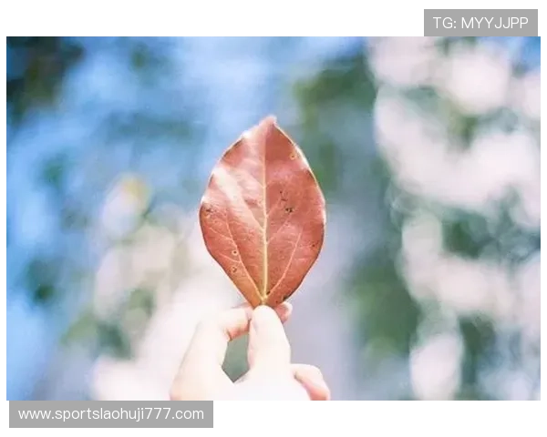 掌握老虎机 jackpot 中奖秘籍，开启你的财富之门与幸运人生