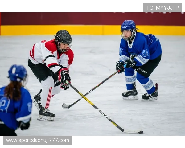 冰球突破豪华版网站安全可靠平台推荐与注册流程全攻略