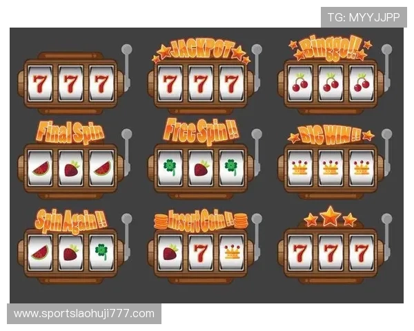 老虎机专卖店：专业团队为客户提供定制化的老虎机设备解决方案